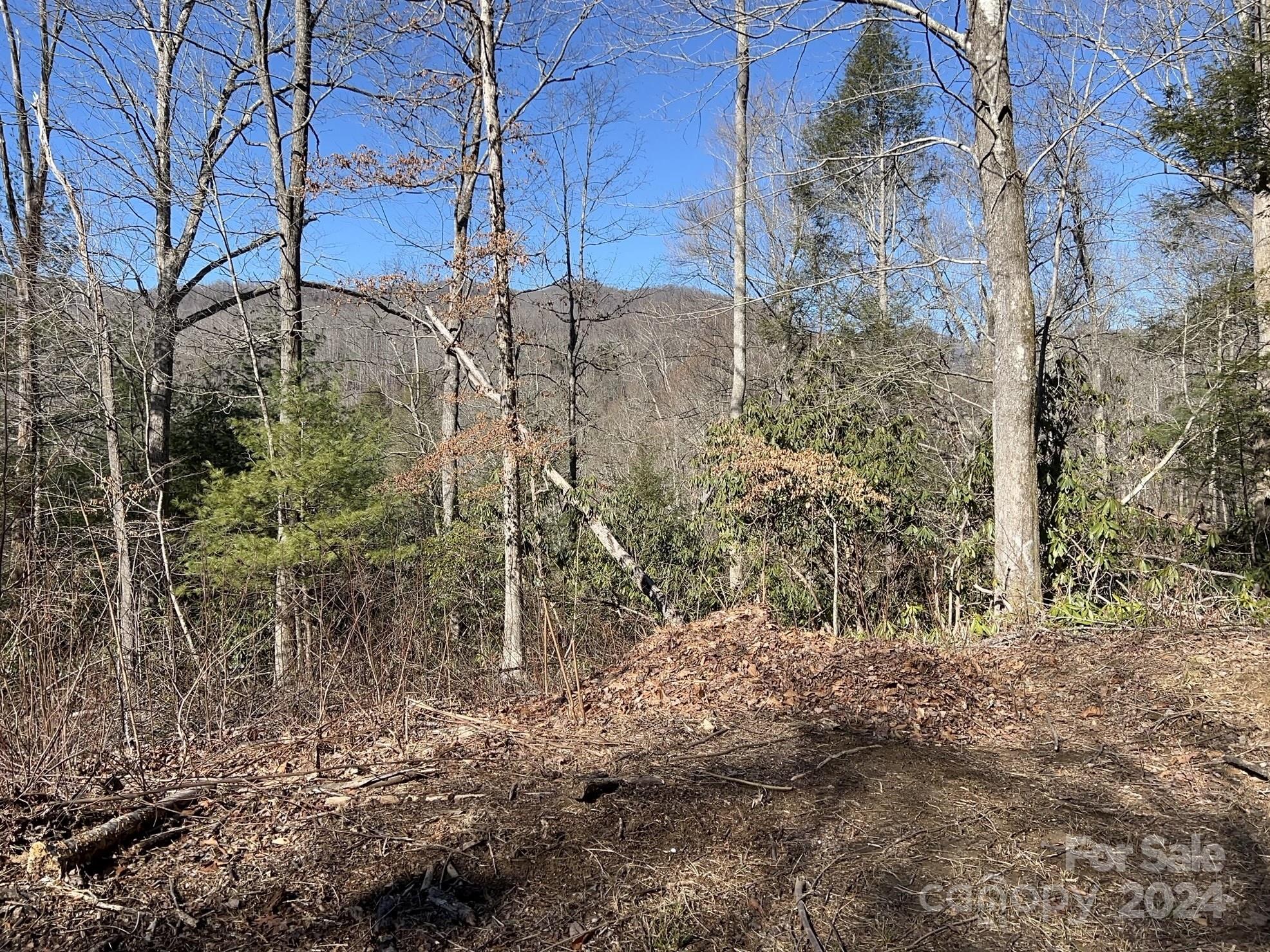 0 Blue Rock Road, Unit 18 Hendersonville, NC 28792 - Photo 13 of 15 a view of a yard with large trees