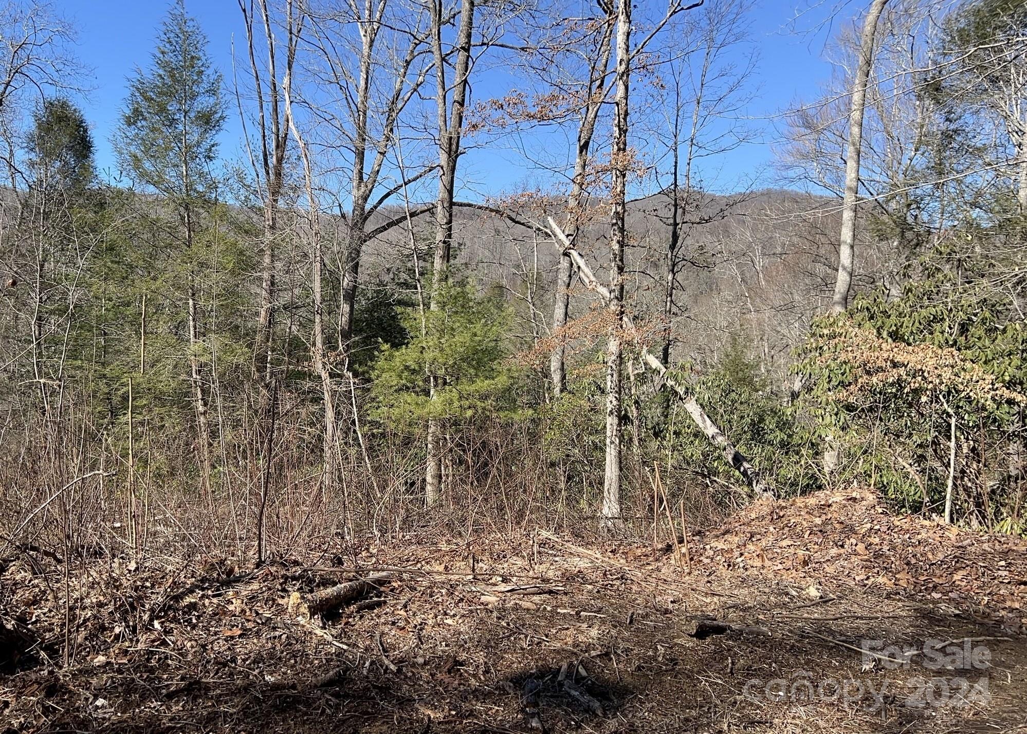 0 Blue Rock Road, Unit 18 Hendersonville, NC 28792 - Photo 14 of 15 a view of a backyard of the house