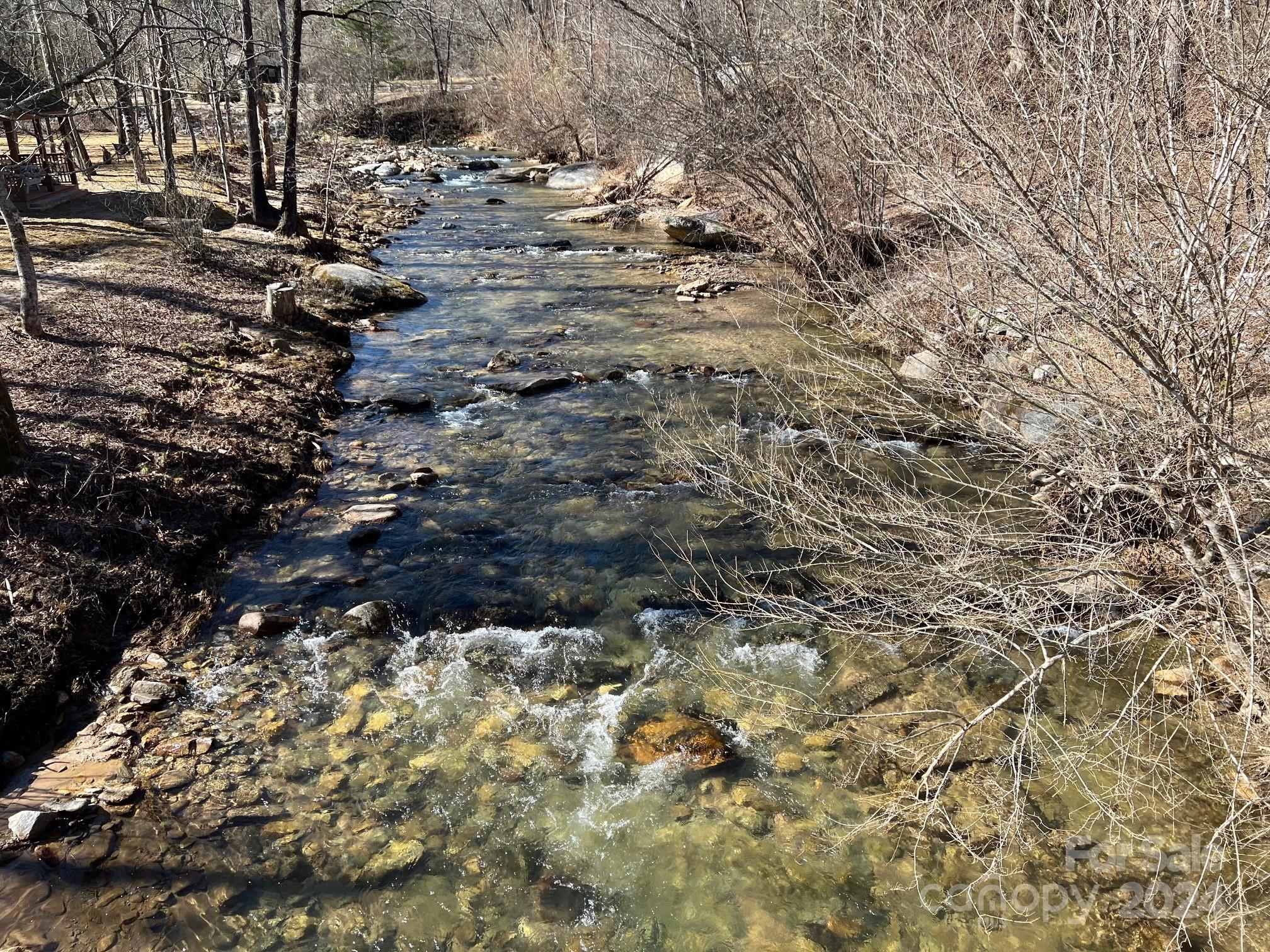 0 Blue Rock Road, Unit 18 Hendersonville, NC 28792 - Photo 3 of 15 a view of lot of trees