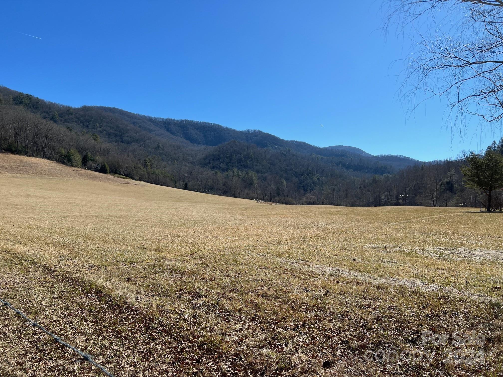 0 Blue Rock Road, Unit 18 Hendersonville, NC 28792 - Photo 8 of 15 a view of an outdoor space and mountain view