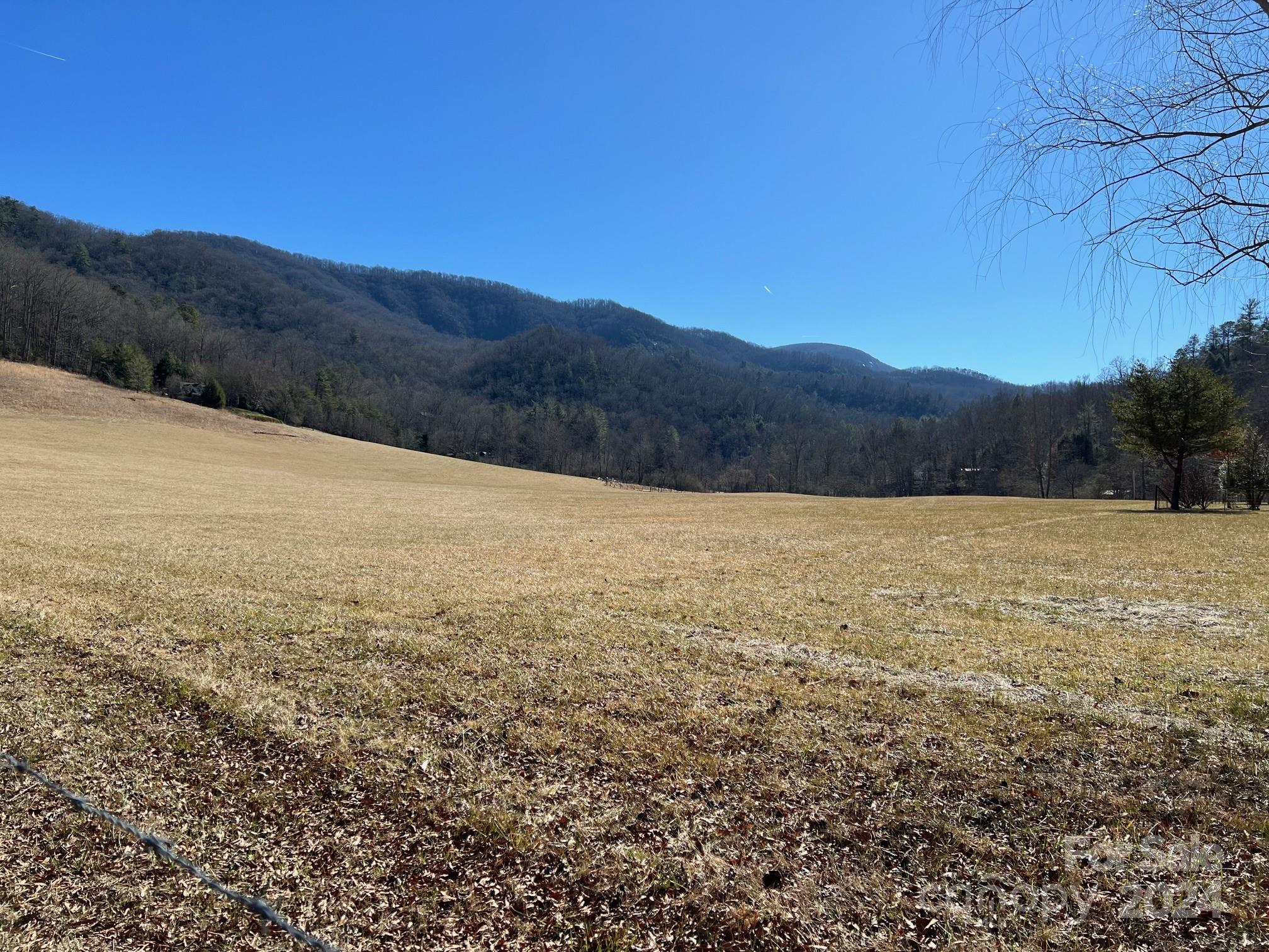 0 Blue Rock Road, Unit 18 Hendersonville, NC 28792 - Photo 9 of 15