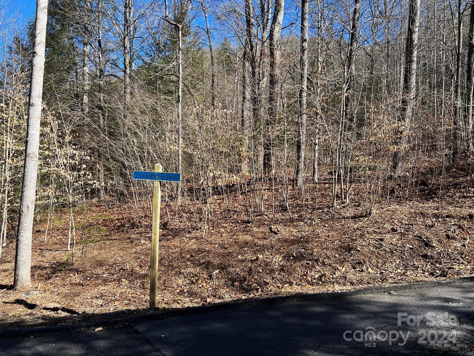 0 Blue Rock Road, Unit 18 Hendersonville, NC 28792 - Photo 10 of 15 a view of a wooden door