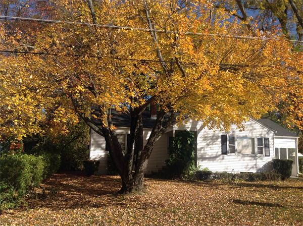 301 Old Farm Road Springfield, MA 01119 - Photo 17 of 20