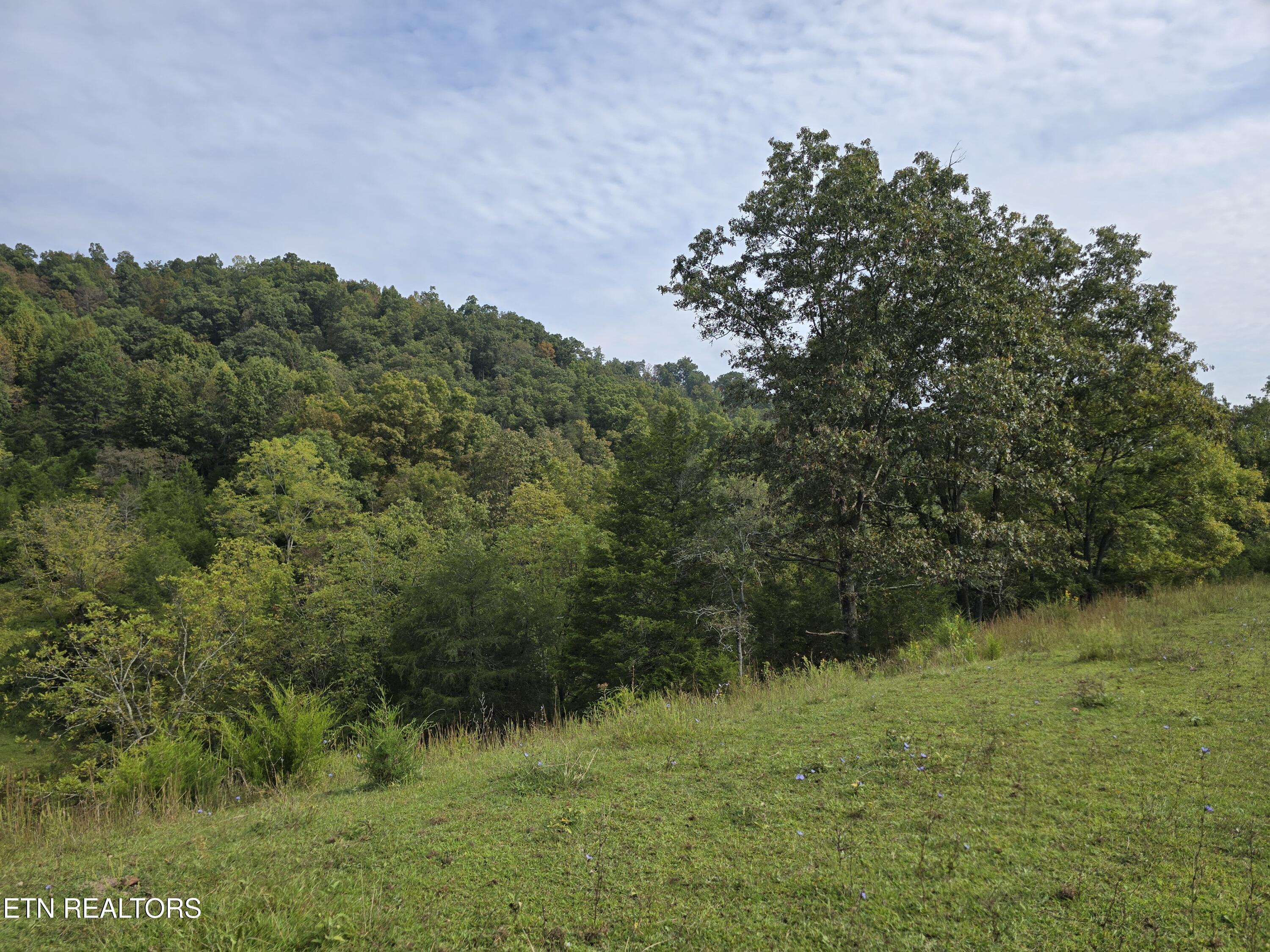East Pumpkin Valley Road Eidson, TN 37731 - Photo 11 of 58 20250916_103843