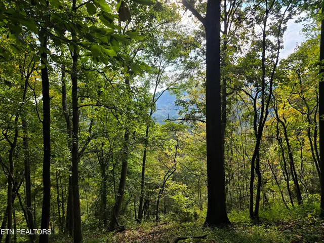 $568,700 | East Pumpkin Valley Road, Eidson, TN 37731