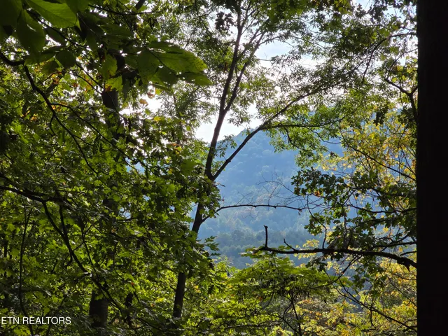 $568,700 | East Pumpkin Valley Road, Eidson, TN 37731