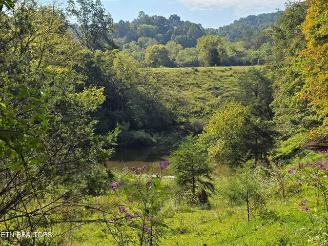 $568,700 | East Pumpkin Valley Road, Eidson, TN 37731