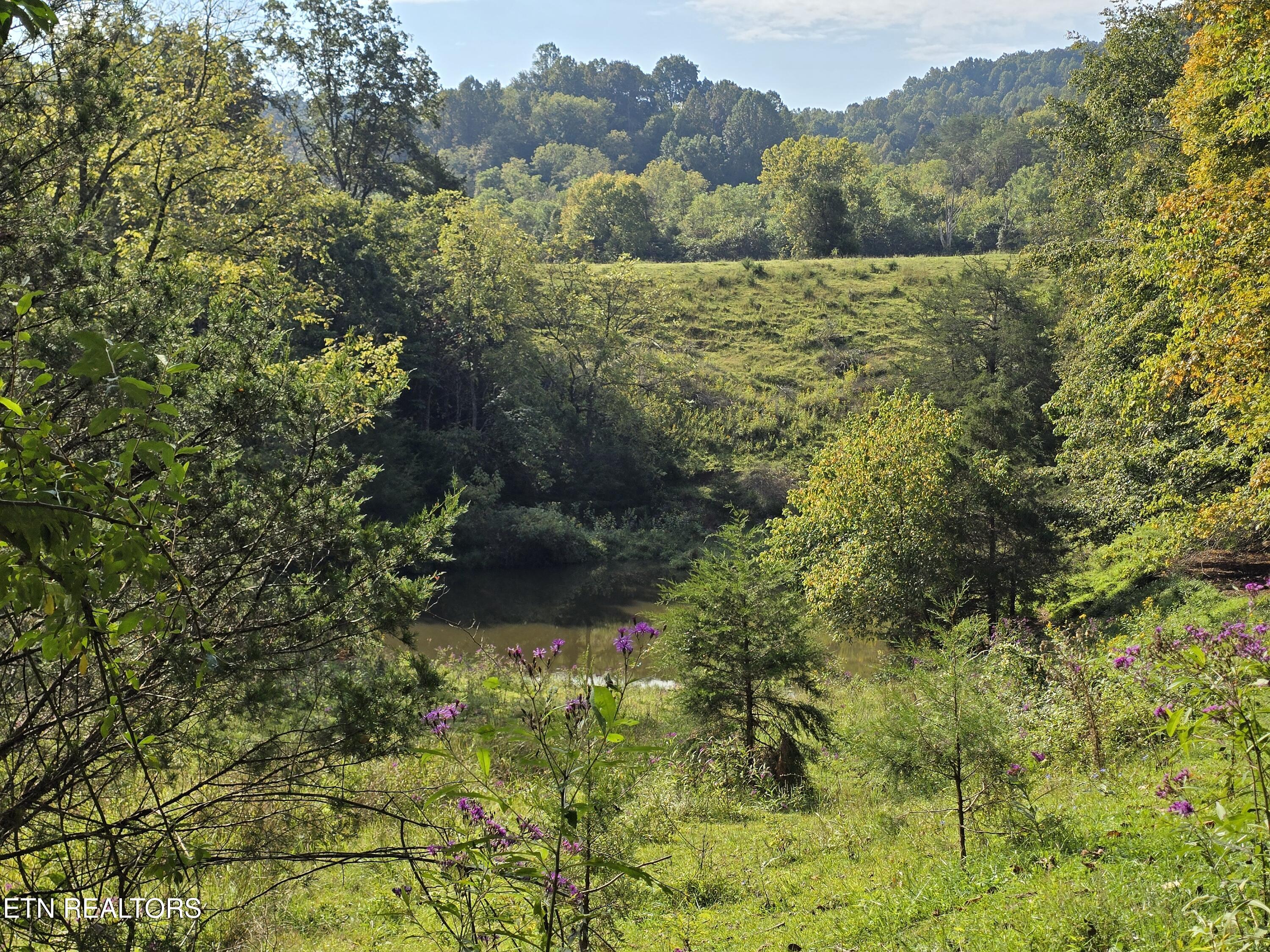 East Pumpkin Valley Road Eidson, TN 37731 - Photo 16 of 58 20250916_100810