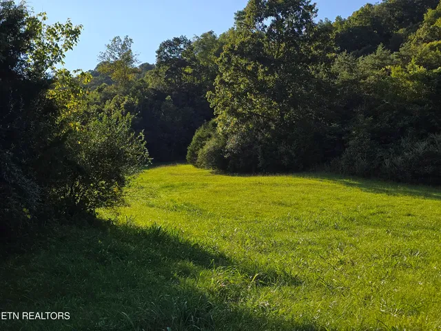 $568,700 | East Pumpkin Valley Road, Eidson, TN 37731