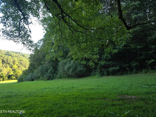 $568,700 | East Pumpkin Valley Road, Eidson, TN 37731