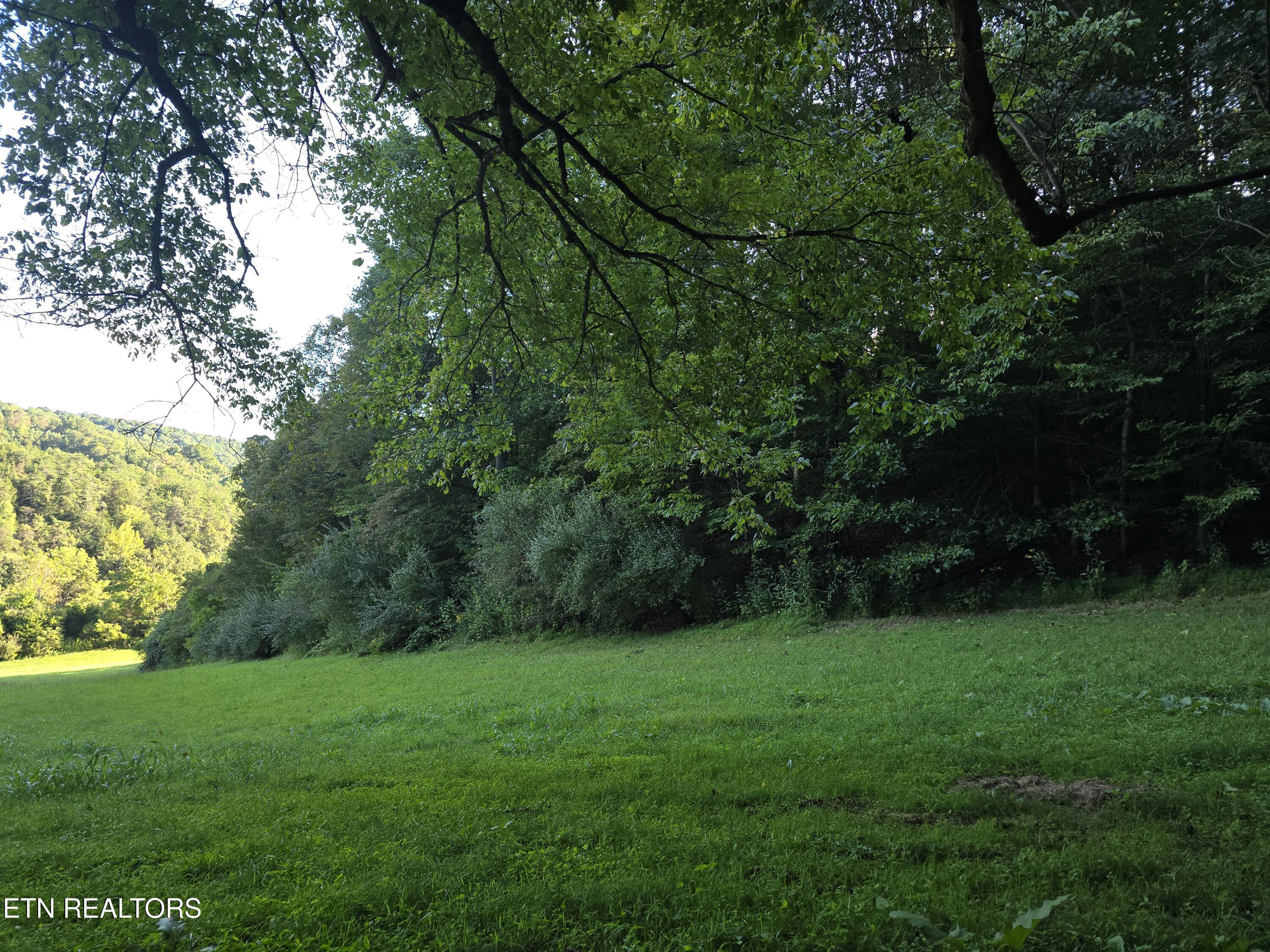 East Pumpkin Valley Road Eidson, TN 37731 - Photo 18 of 58 20250908_174857