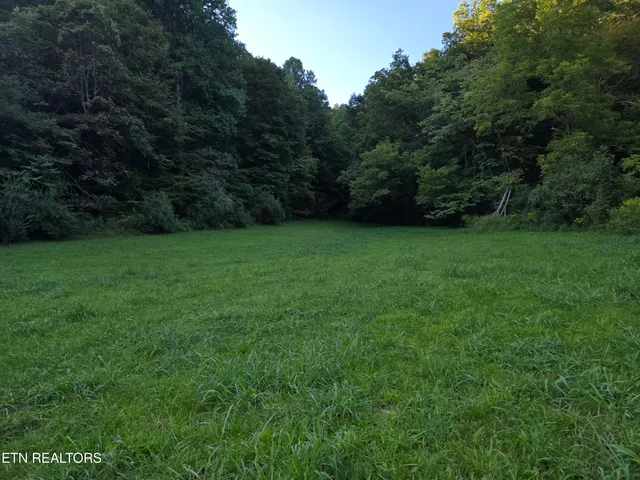 $568,700 | East Pumpkin Valley Road, Eidson, TN 37731