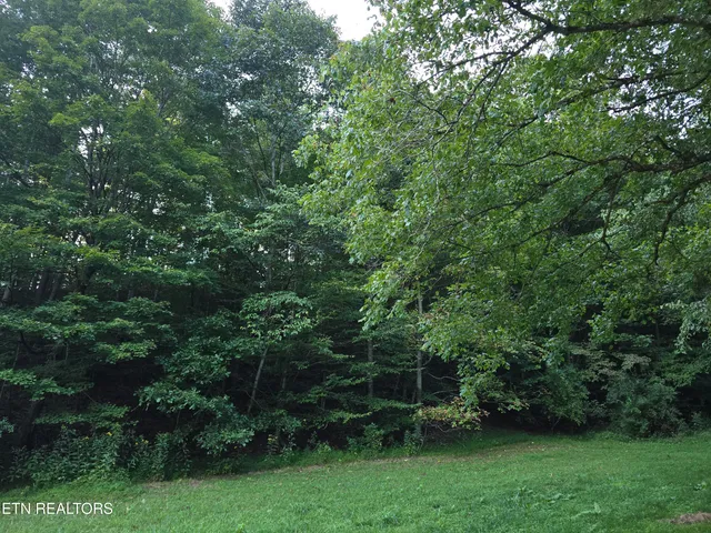 $568,700 | East Pumpkin Valley Road, Eidson, TN 37731