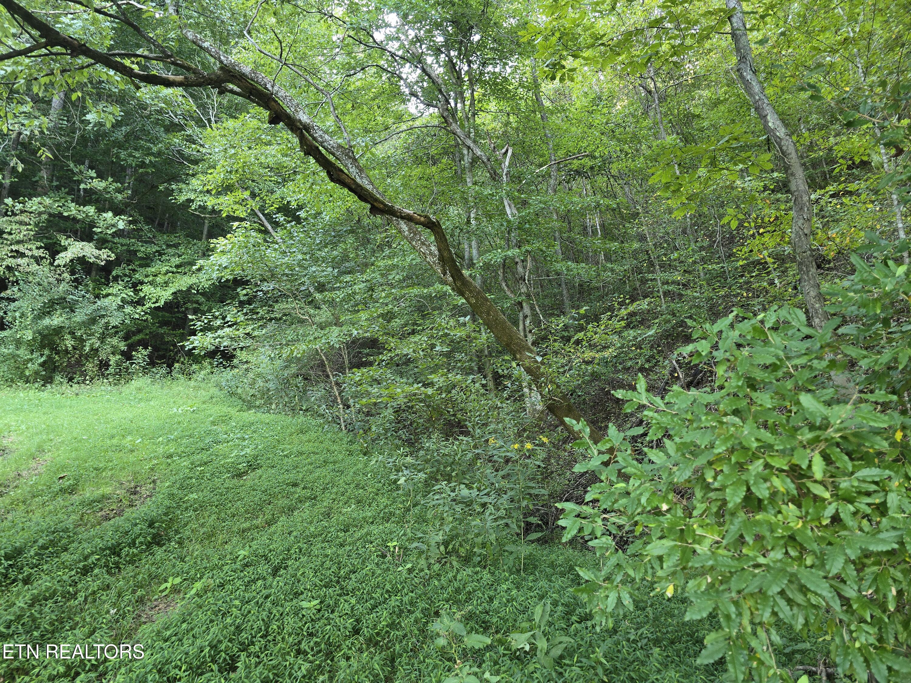 East Pumpkin Valley Road Eidson, TN 37731 - Photo 22 of 58 20250908_174906