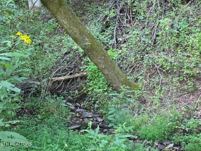 $568,700 | East Pumpkin Valley Road, Eidson, TN 37731