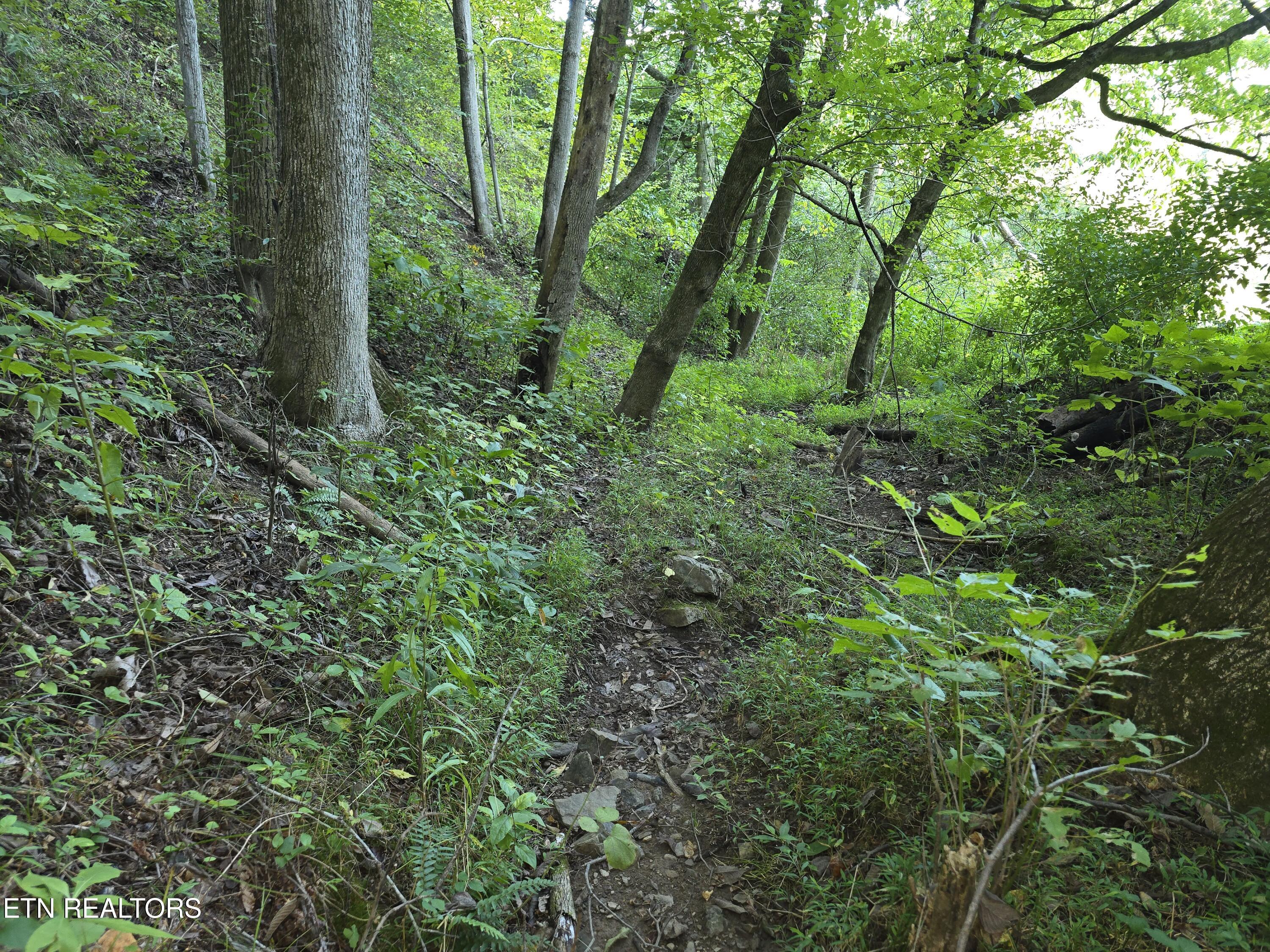 East Pumpkin Valley Road Eidson, TN 37731 - Photo 25 of 58 20250908_174841