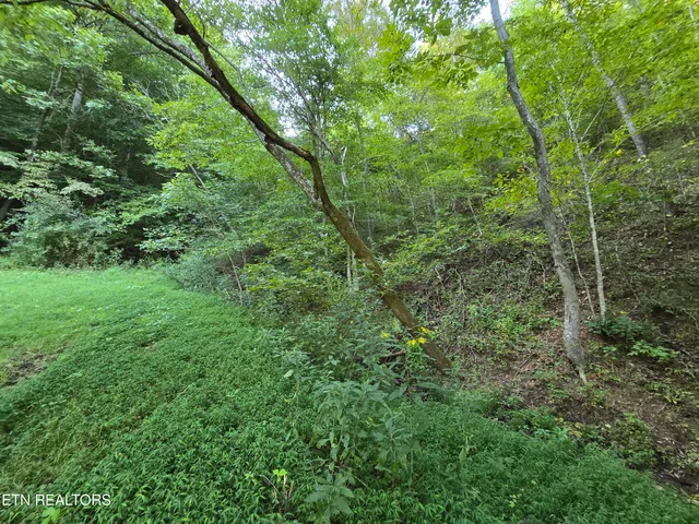 $568,700 | East Pumpkin Valley Road, Eidson, TN 37731