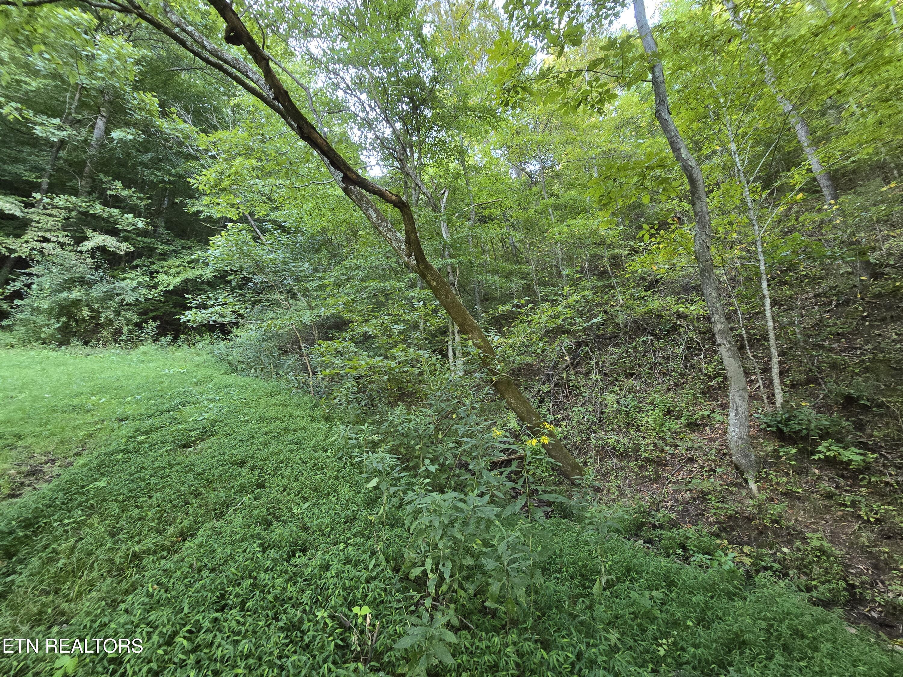 East Pumpkin Valley Road Eidson, TN 37731 - Photo 28 of 58 20250908_174711