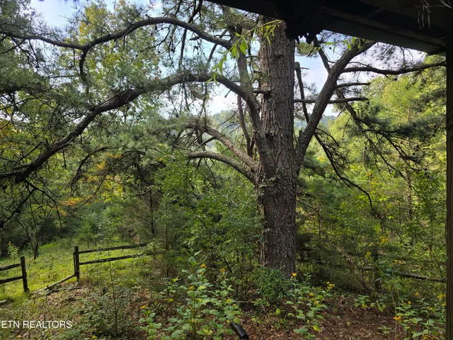 $568,700 | East Pumpkin Valley Road, Eidson, TN 37731