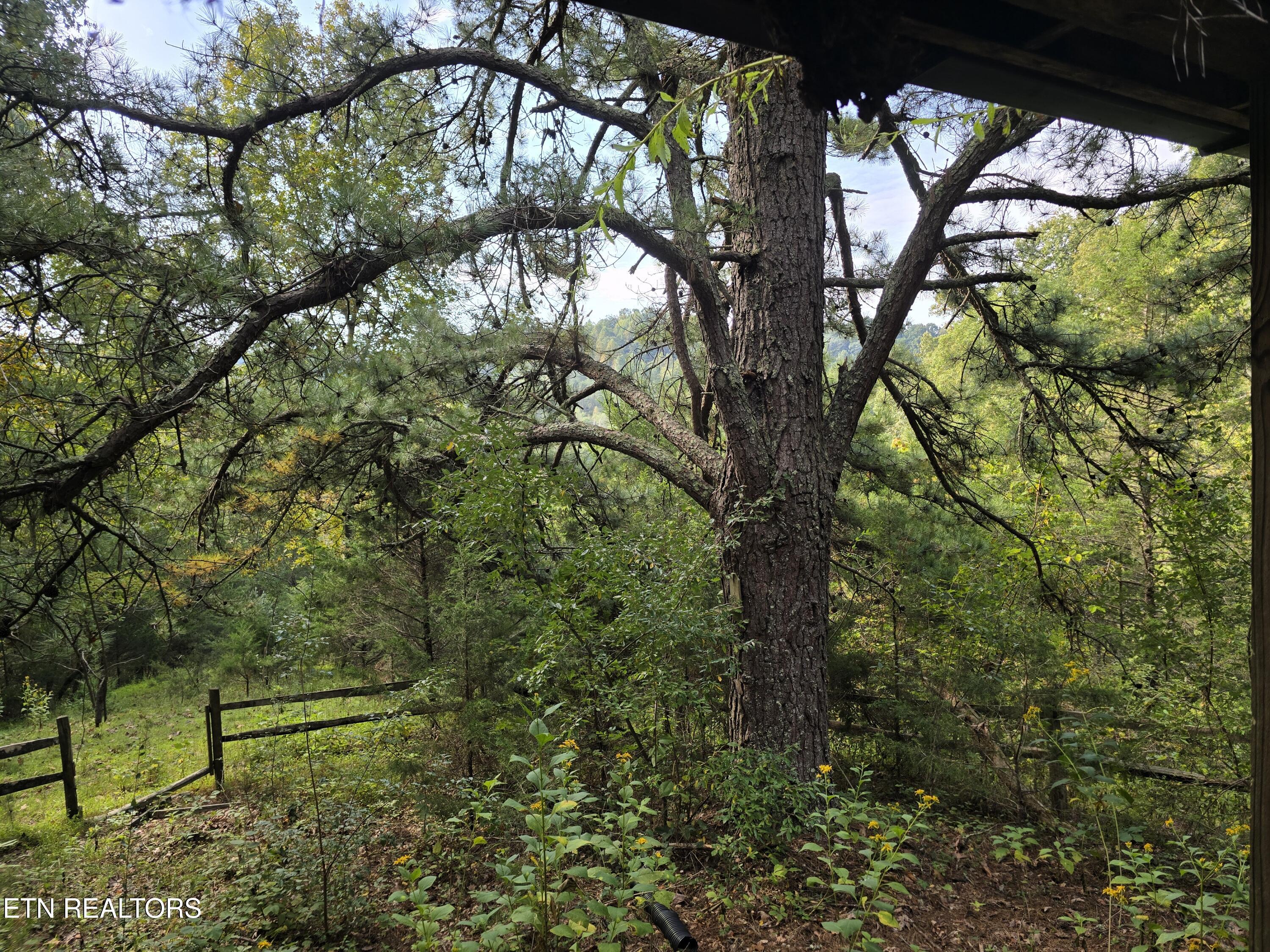 East Pumpkin Valley Road Eidson, TN 37731 - Photo 29 of 58 20250916_101804