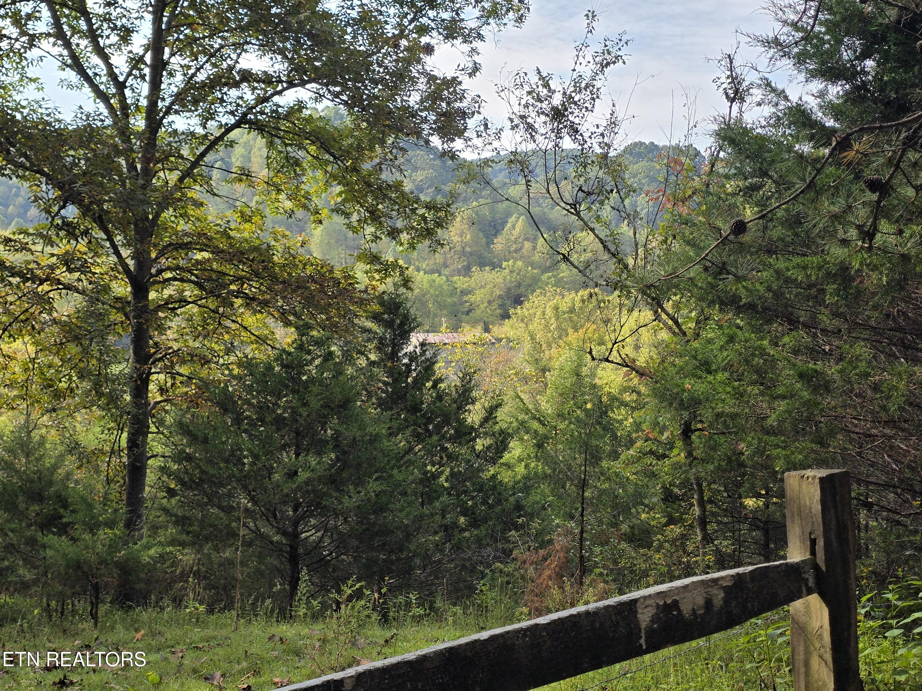 East Pumpkin Valley Road Eidson, TN 37731 - Photo 30 of 58 20250916_101614