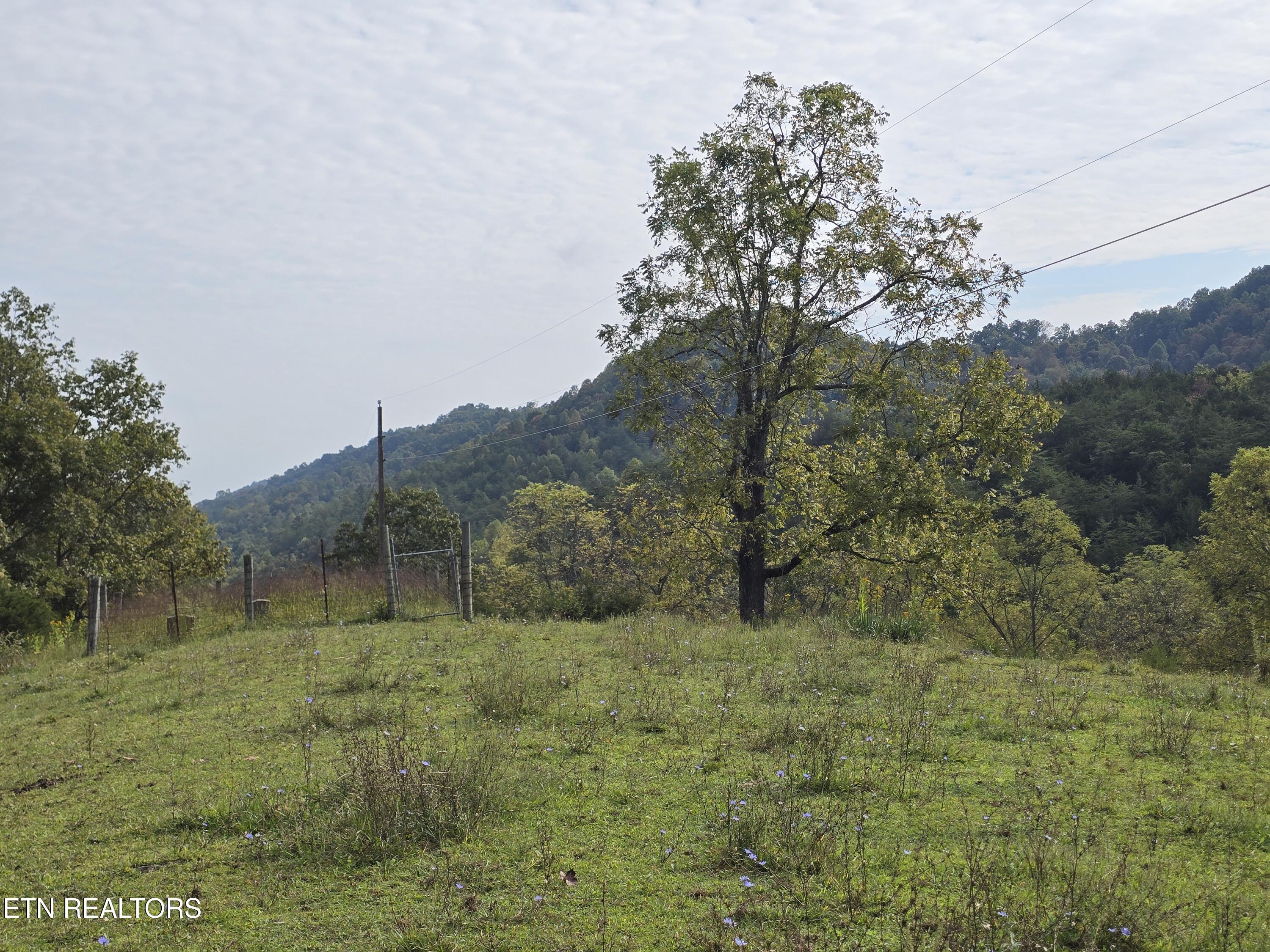 East Pumpkin Valley Road Eidson, TN 37731 - Photo 3 of 58 20250916_103821