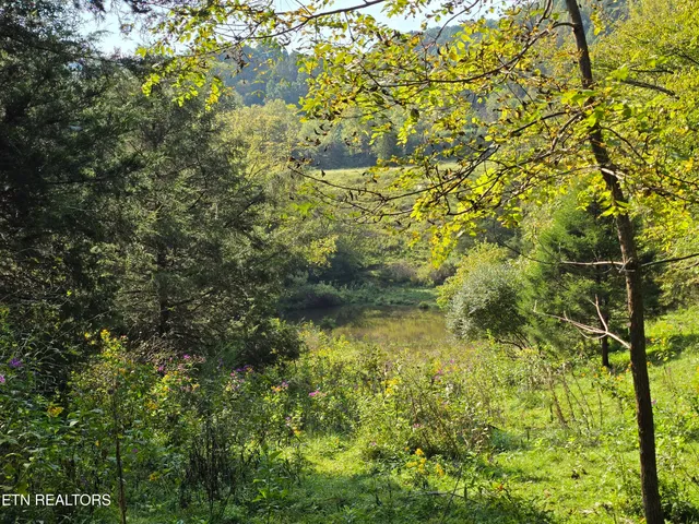 $568,700 | East Pumpkin Valley Road, Eidson, TN 37731