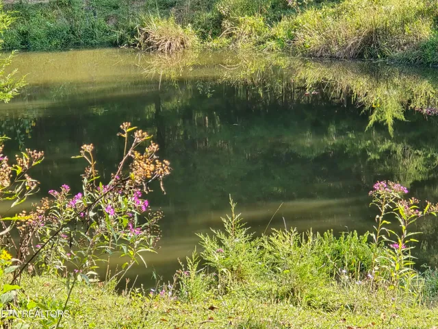 $568,700 | East Pumpkin Valley Road, Eidson, TN 37731