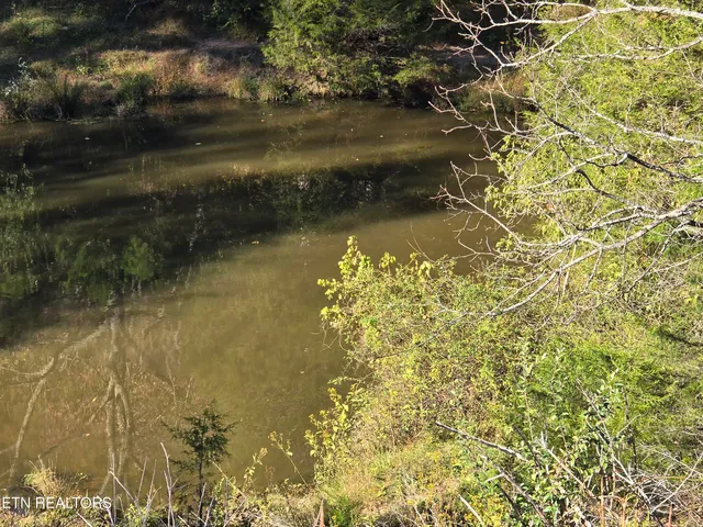 $568,700 | East Pumpkin Valley Road, Eidson, TN 37731