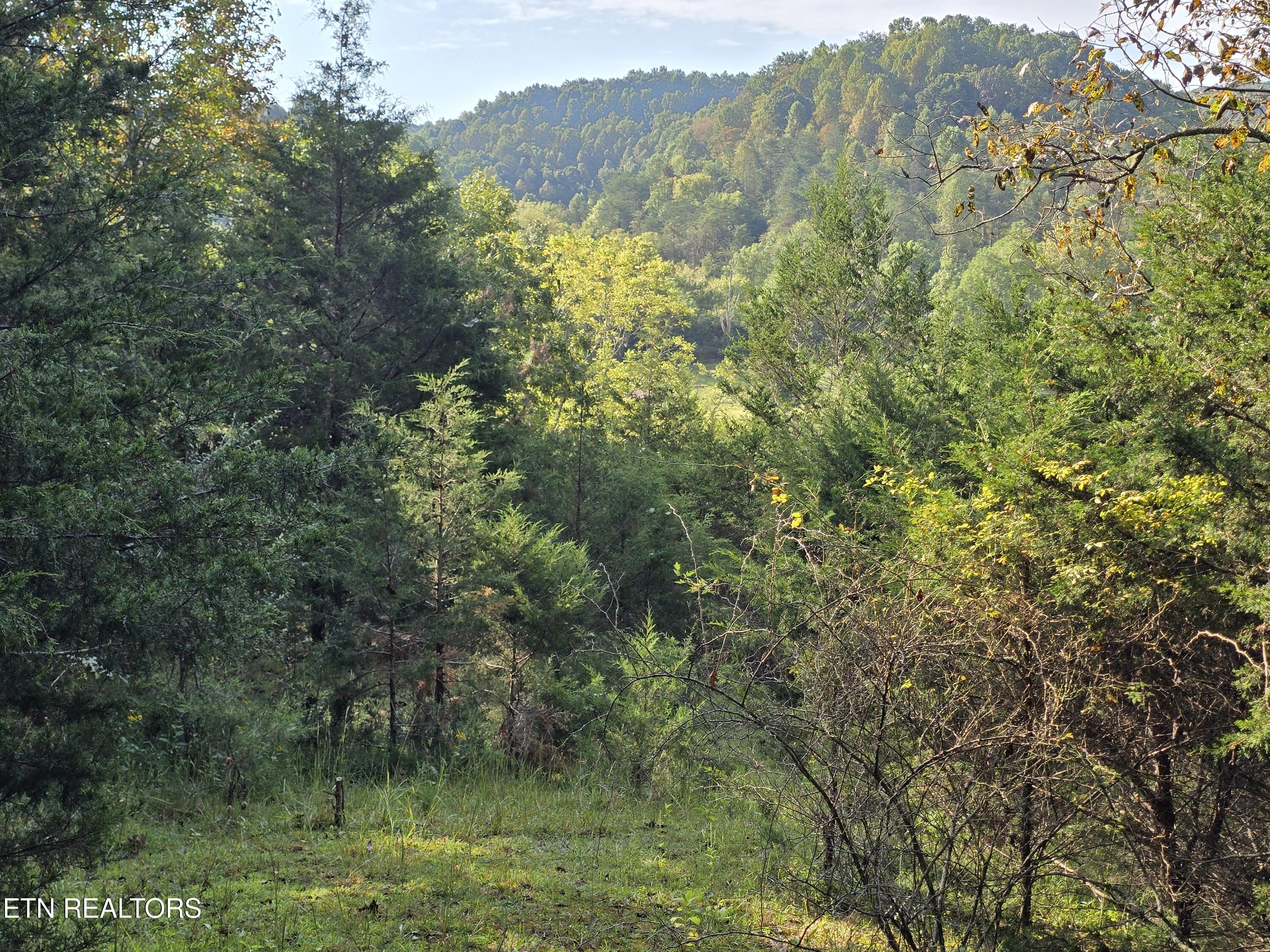 East Pumpkin Valley Road Eidson, TN 37731 - Photo 4 of 58 20250916_101209