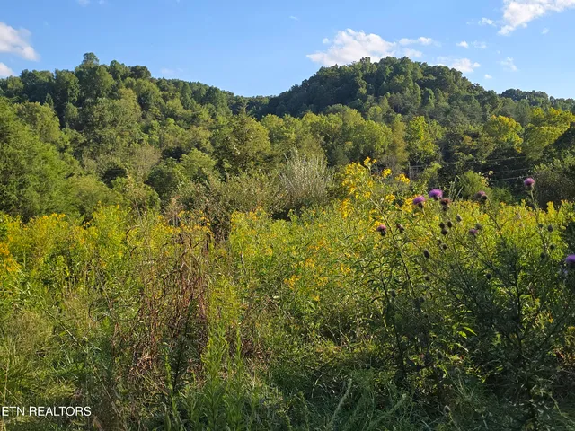 $568,700 | East Pumpkin Valley Road, Eidson, TN 37731