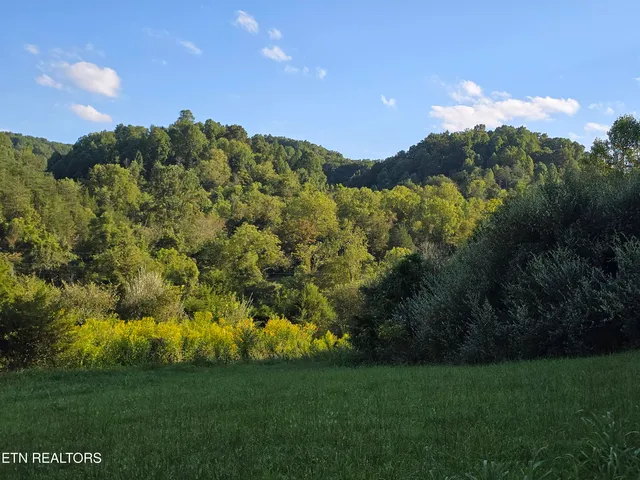 $568,700 | East Pumpkin Valley Road, Eidson, TN 37731