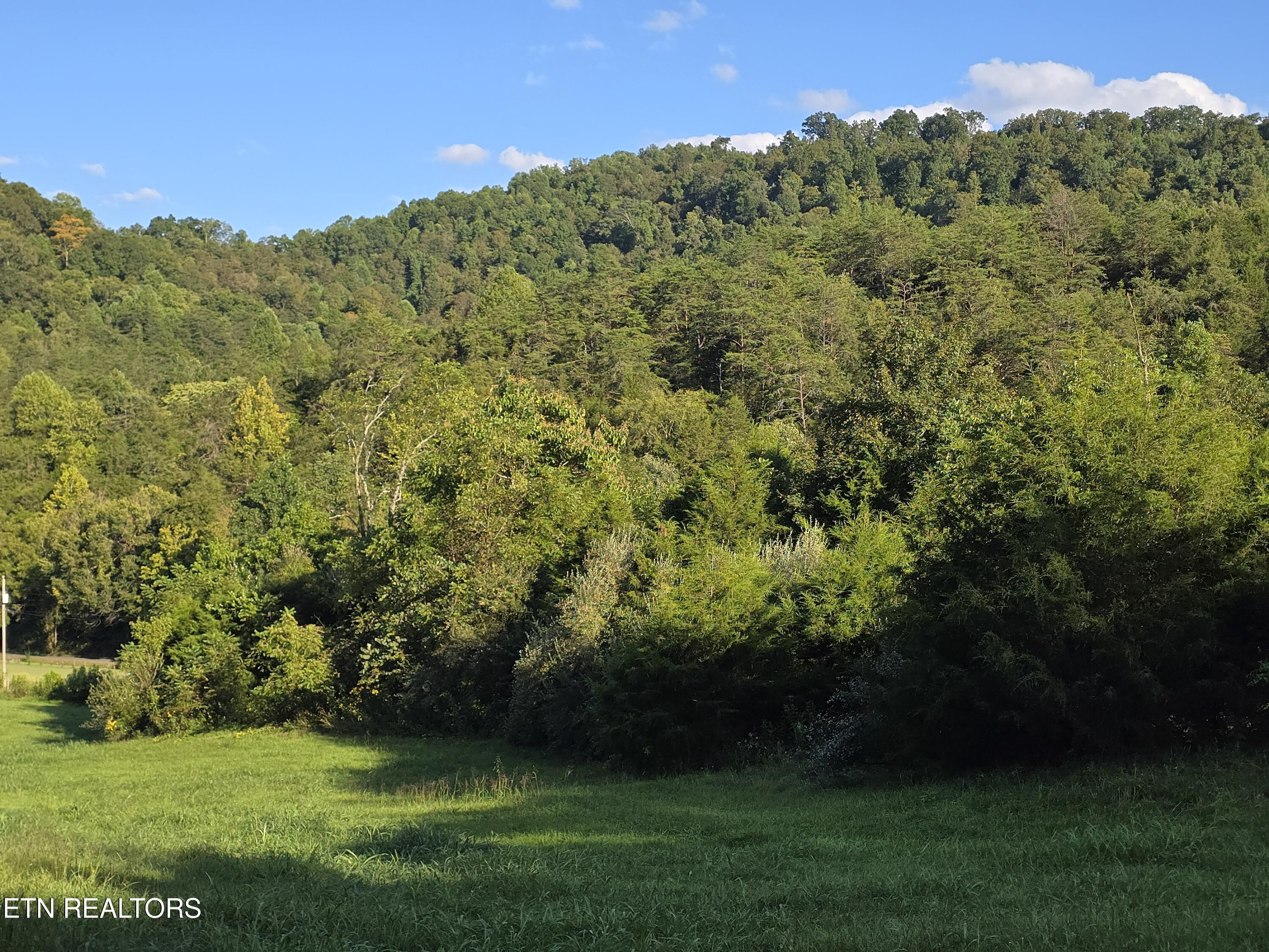 East Pumpkin Valley Road Eidson, TN 37731 - Photo 48 of 58 20250908_175606