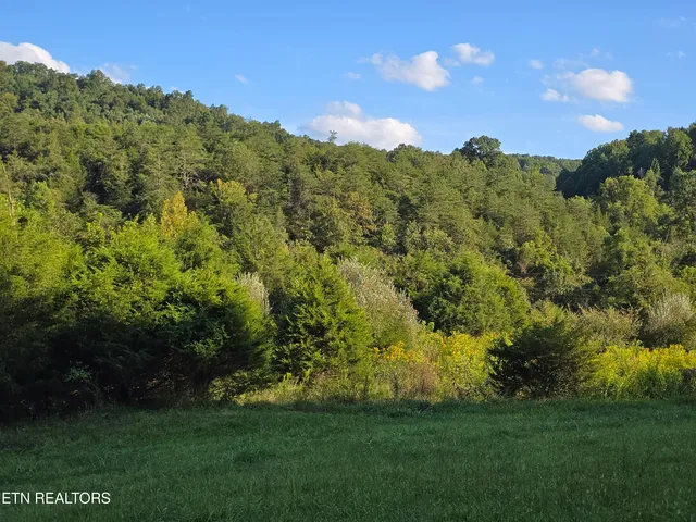 $568,700 | East Pumpkin Valley Road, Eidson, TN 37731