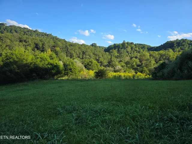 $568,700 | East Pumpkin Valley Road, Eidson, TN 37731