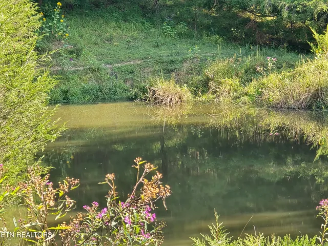 $568,700 | East Pumpkin Valley Road, Eidson, TN 37731