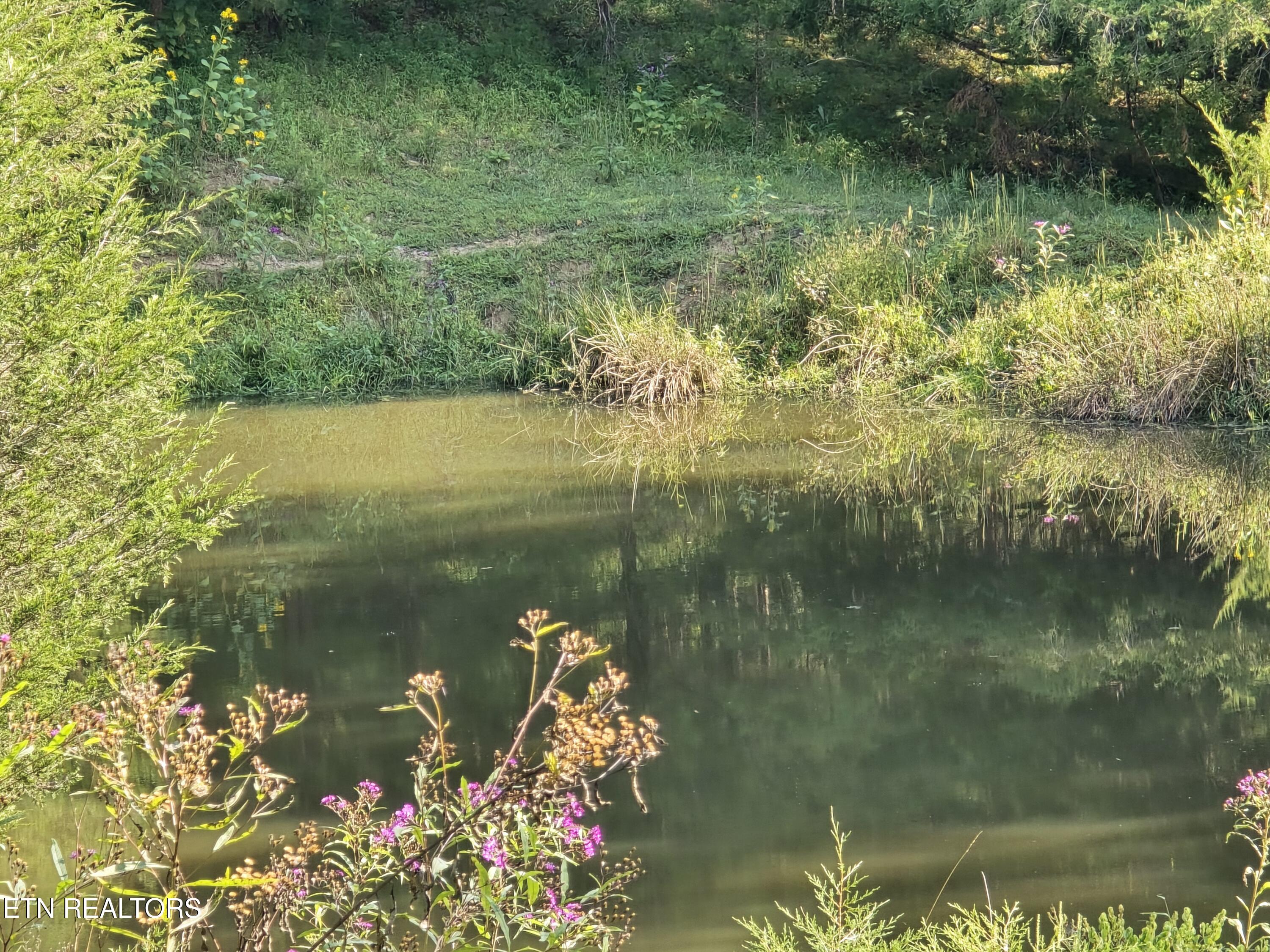 East Pumpkin Valley Road Eidson, TN 37731 - Photo 5 of 58 20250916_100236