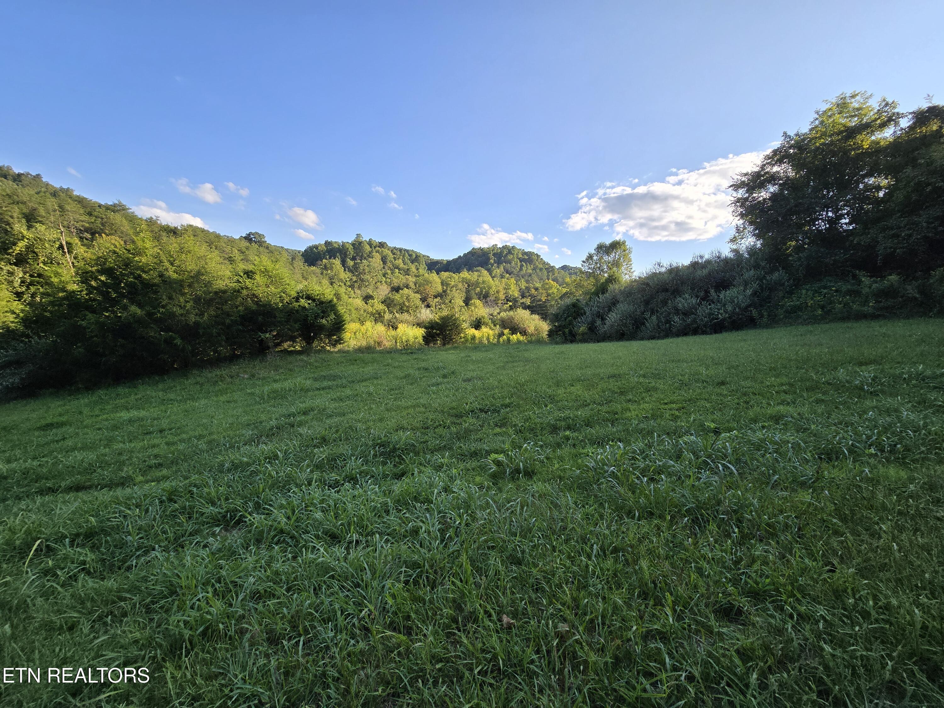 East Pumpkin Valley Road Eidson, TN 37731 - Photo 51 of 58 20250908_175641