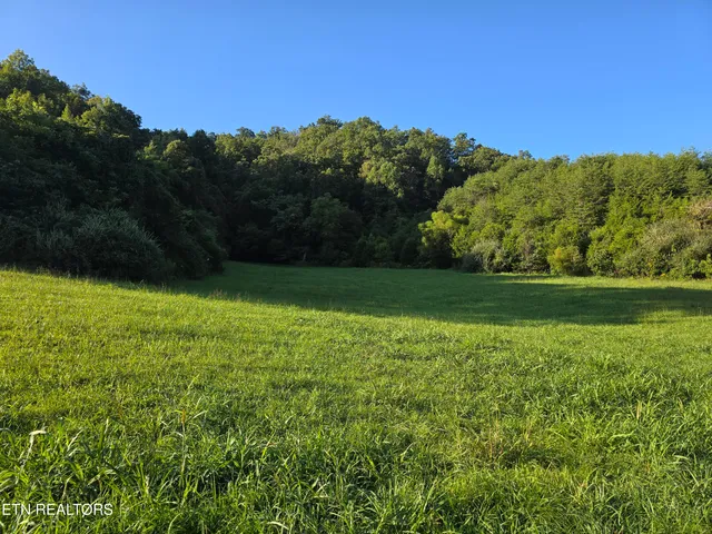 $568,700 | East Pumpkin Valley Road, Eidson, TN 37731