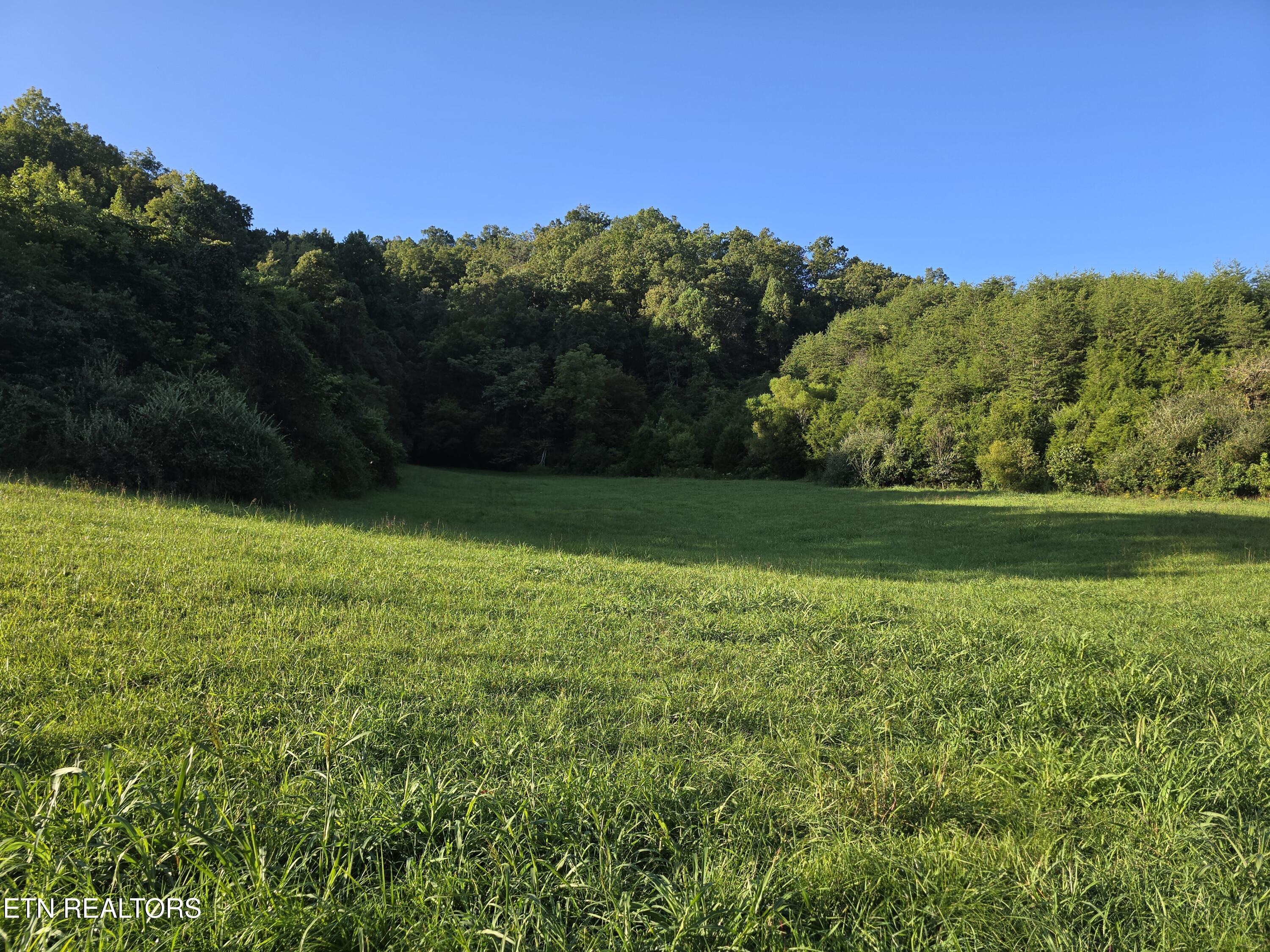 East Pumpkin Valley Road Eidson, TN 37731 - Photo 52 of 58 20250908_180300