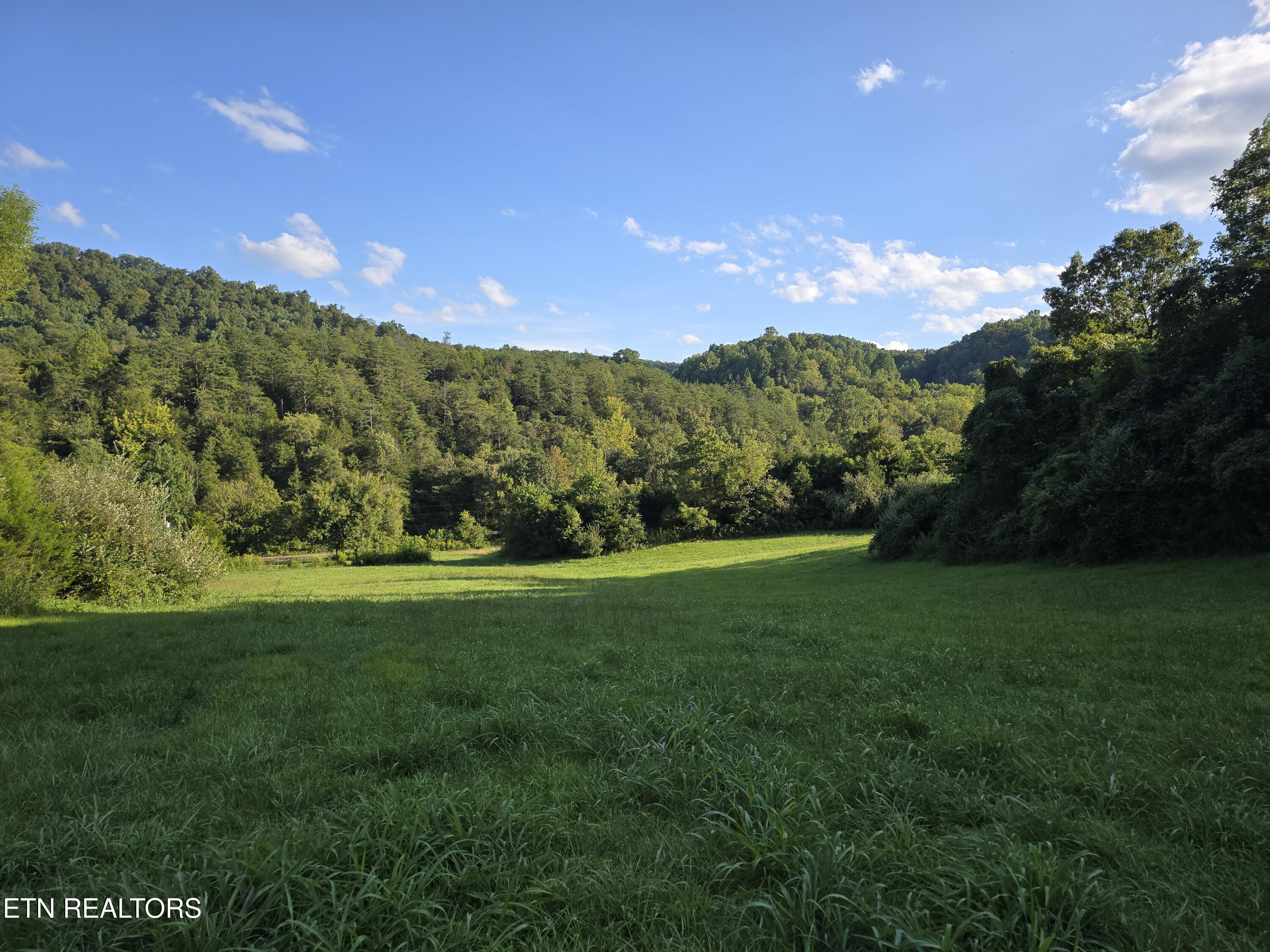 East Pumpkin Valley Road Eidson, TN 37731 - Photo 53 of 58 20250908_174517