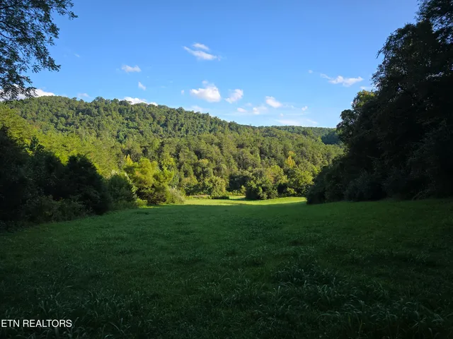 $568,700 | East Pumpkin Valley Road, Eidson, TN 37731