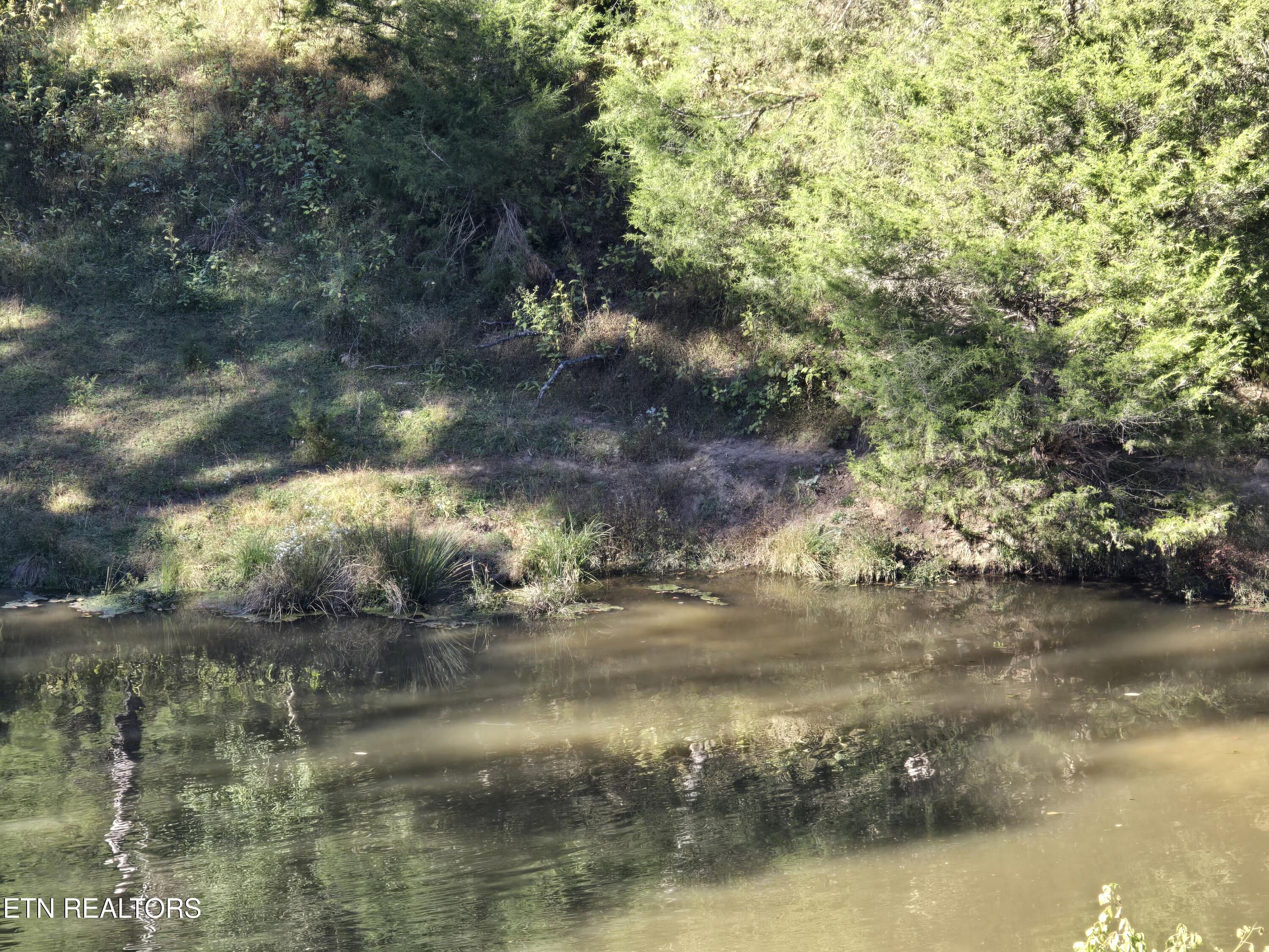 East Pumpkin Valley Road Eidson, TN 37731 - Photo 57 of 58 P1