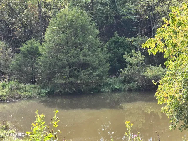 $568,700 | East Pumpkin Valley Road, Eidson, TN 37731