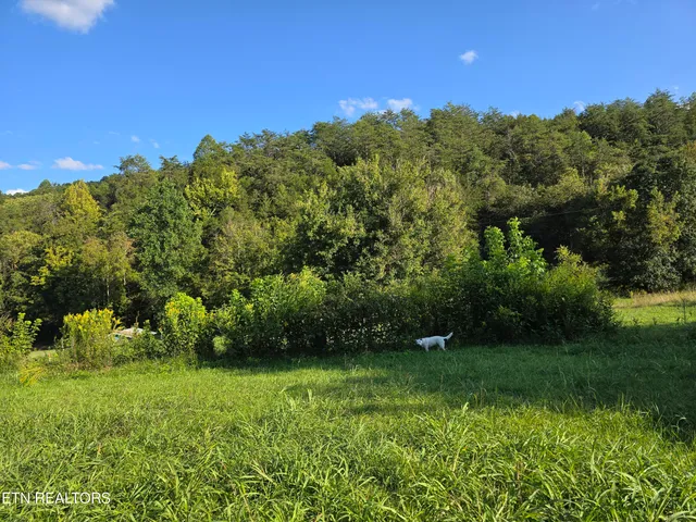 $568,700 | East Pumpkin Valley Road, Eidson, TN 37731