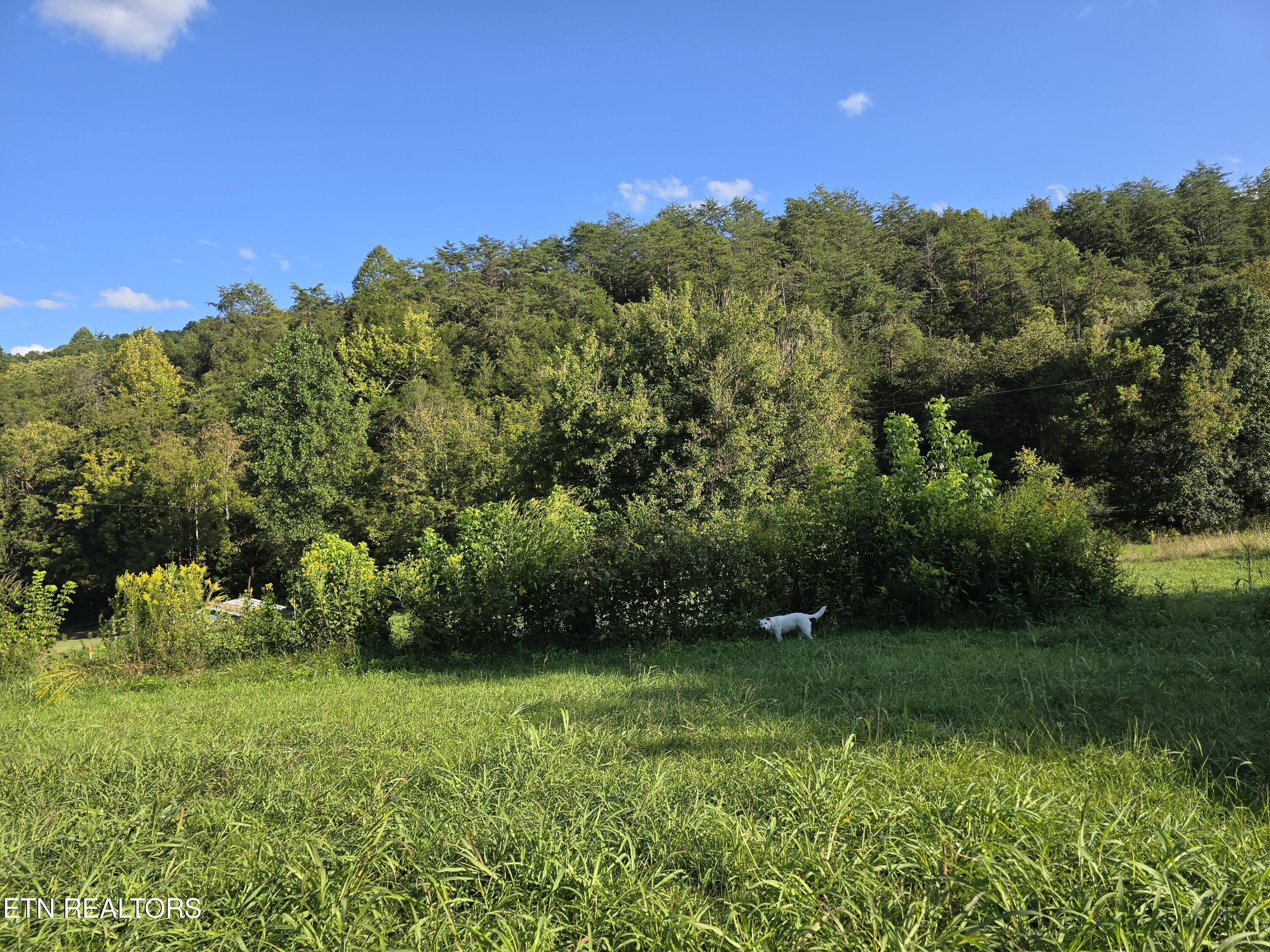 East Pumpkin Valley Road Eidson, TN 37731 - Photo 7 of 58 20250908_174132