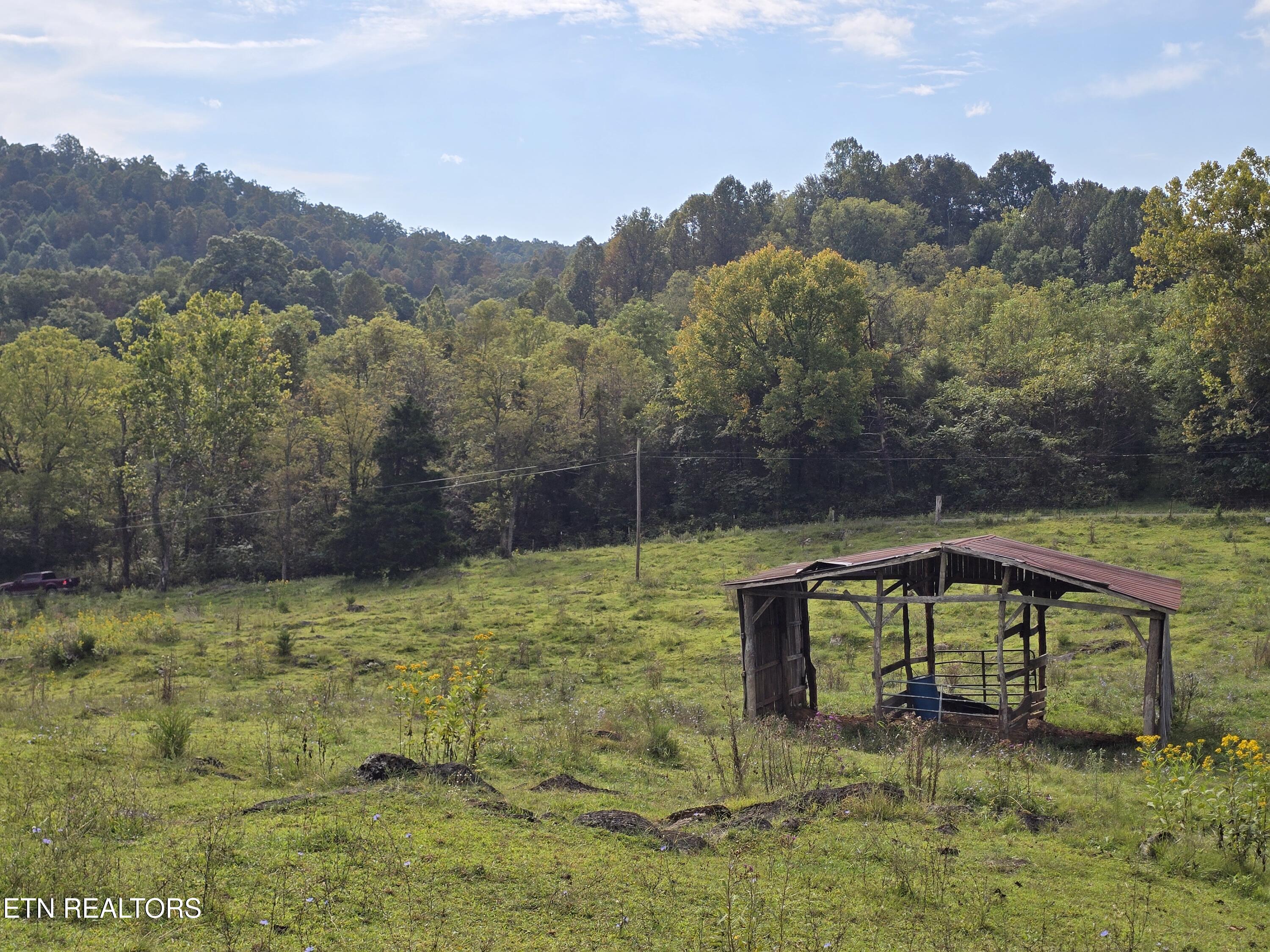 East Pumpkin Valley Road Eidson, TN 37731 - Photo 9 of 58 20250916_103810