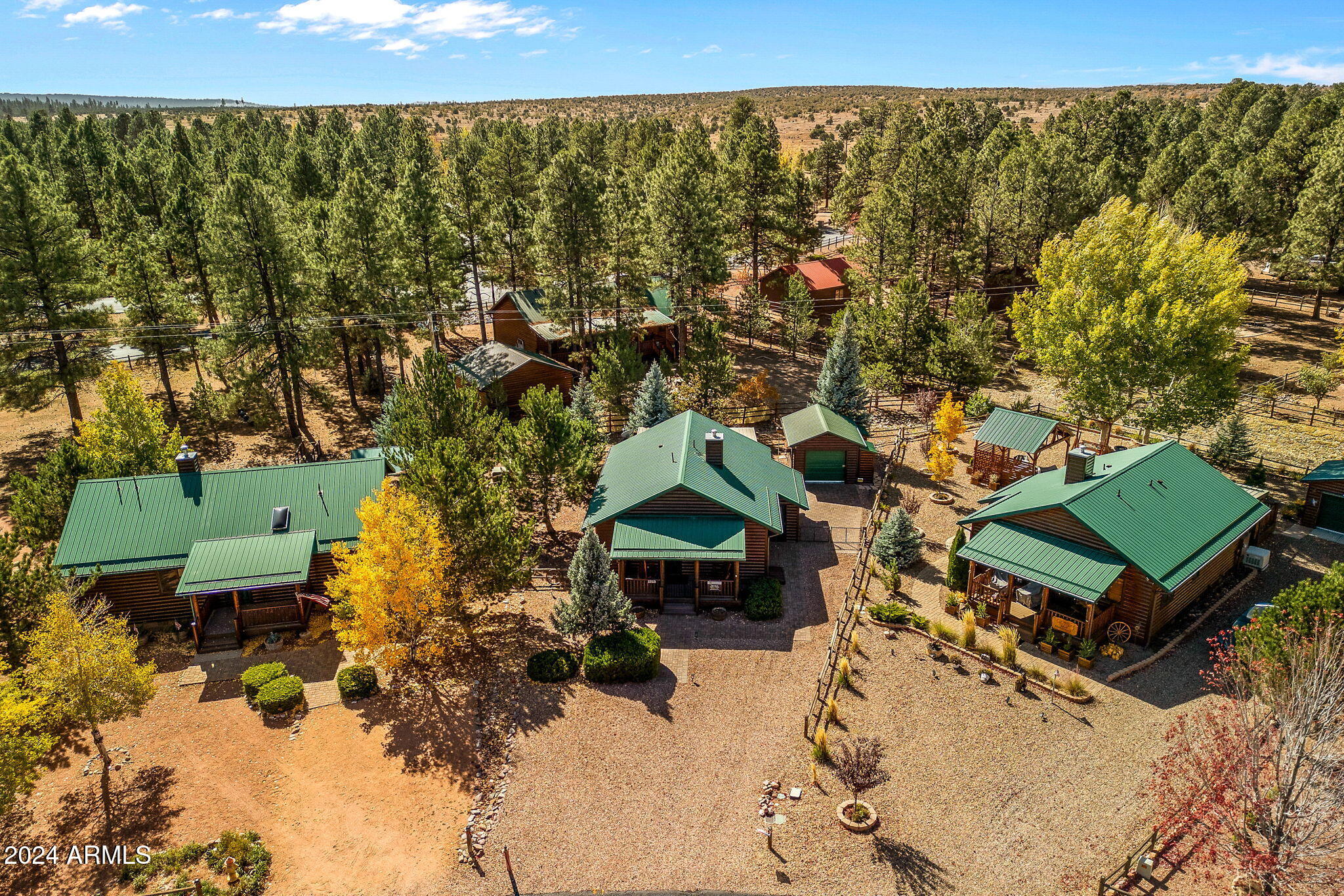 2323 South Buffalo Loop Overgaard, AZ 85933 - Photo 27 of 41 AERIAL VIEW