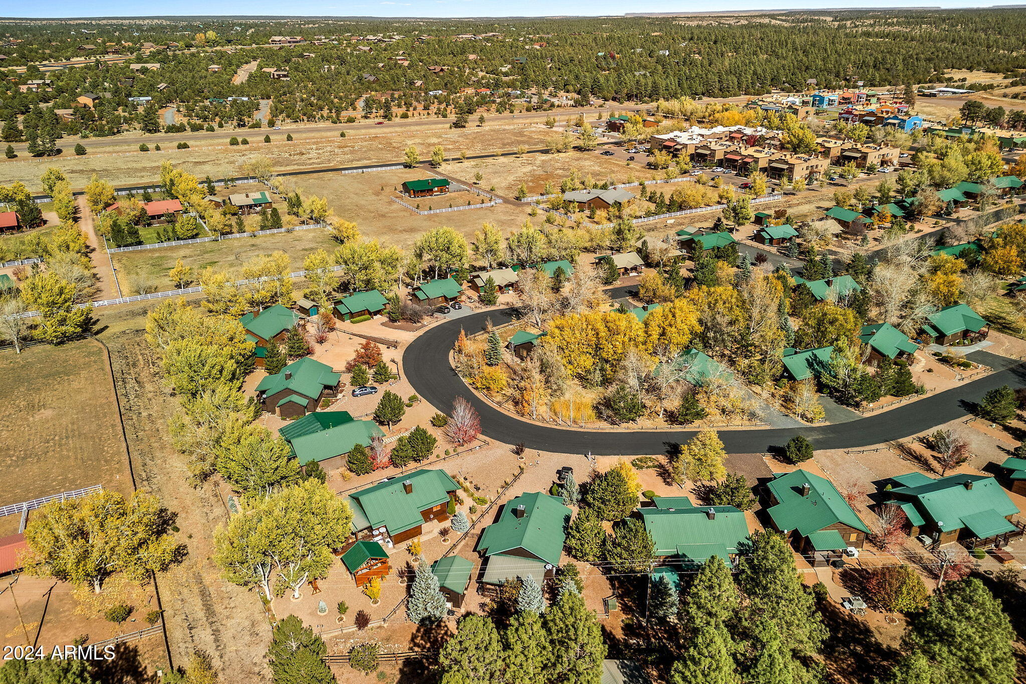 2323 South Buffalo Loop Overgaard, AZ 85933 - Photo 29 of 41 AERIAL VIEW