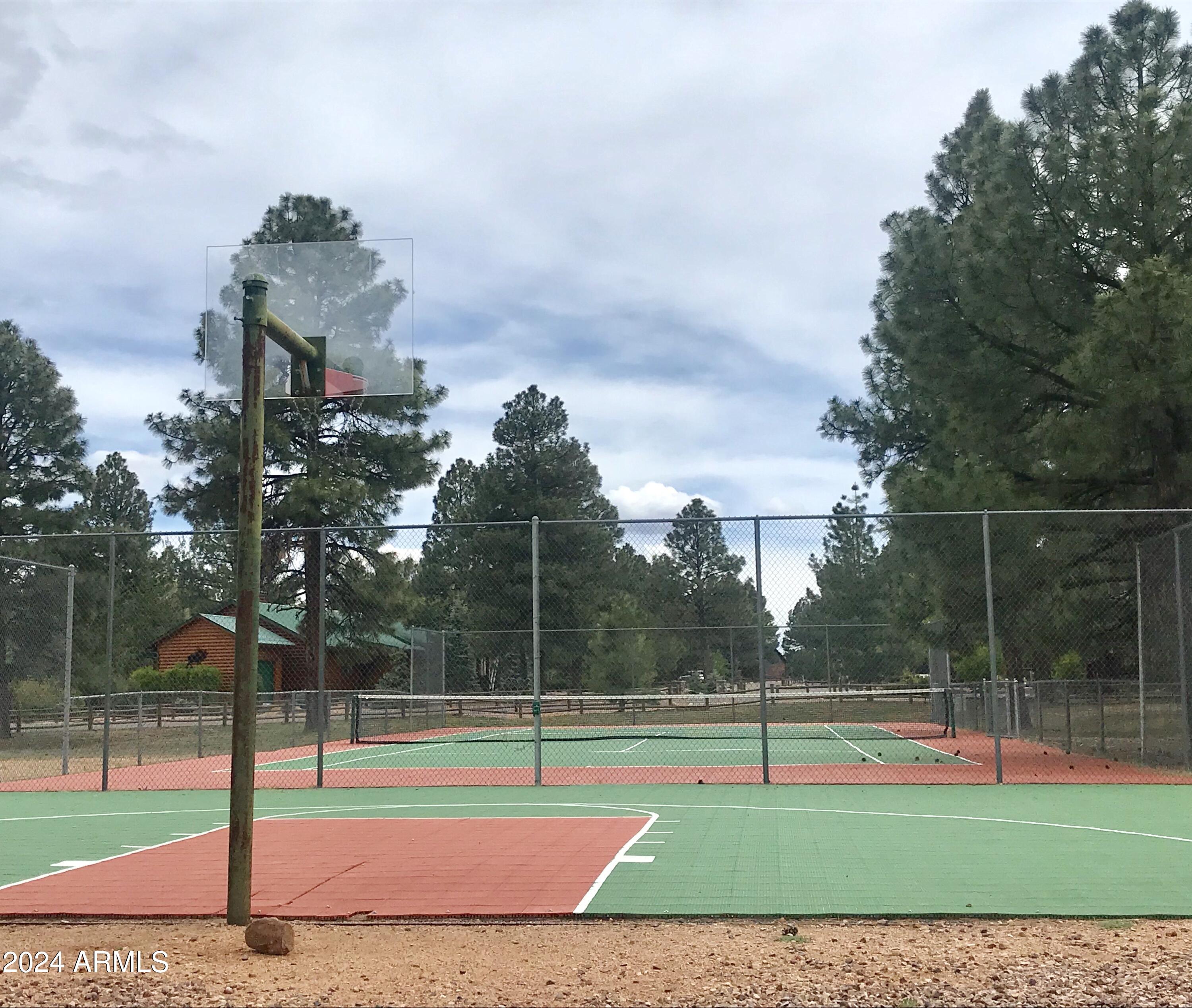 2323 South Buffalo Loop Overgaard, AZ 85933 - Photo 34 of 41 SPORT COURTS